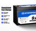 Atem Power 9AH AGM Battery 12V AMP Lead Acid SLA Deep Cycle Battery