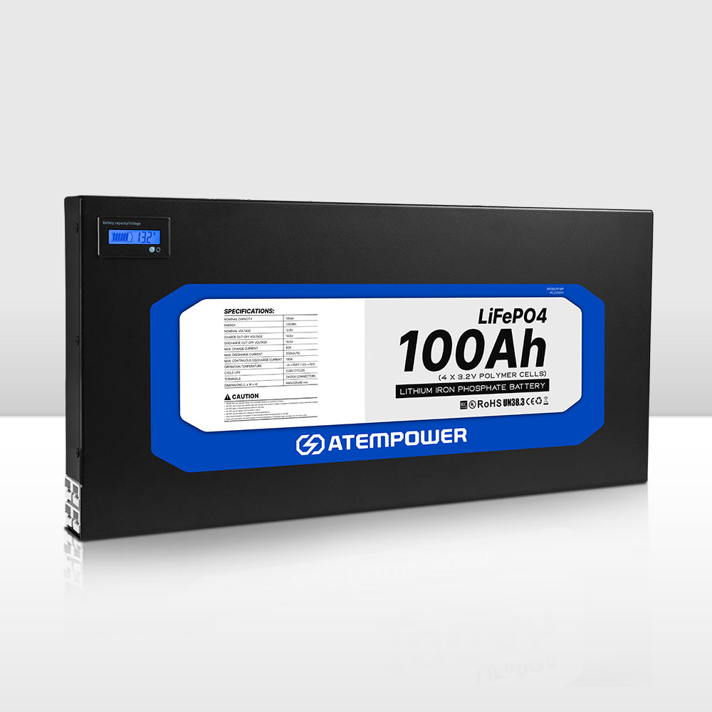 Temgot 12V 100Ah LiFePO4 Battery with Bluetooth, Deep Cycle Lithium Ba