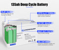 135AH 12V AGM Battery AMP Lead Acid SLA Deep Cycle Battery Dual Solar Power